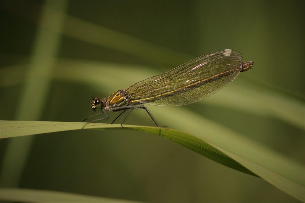 Photograph by Małgorzata Bartczak