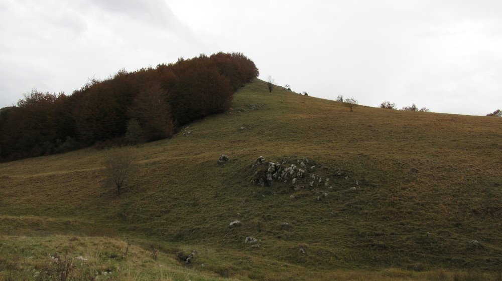 Photograph by Nermina Selmanovic