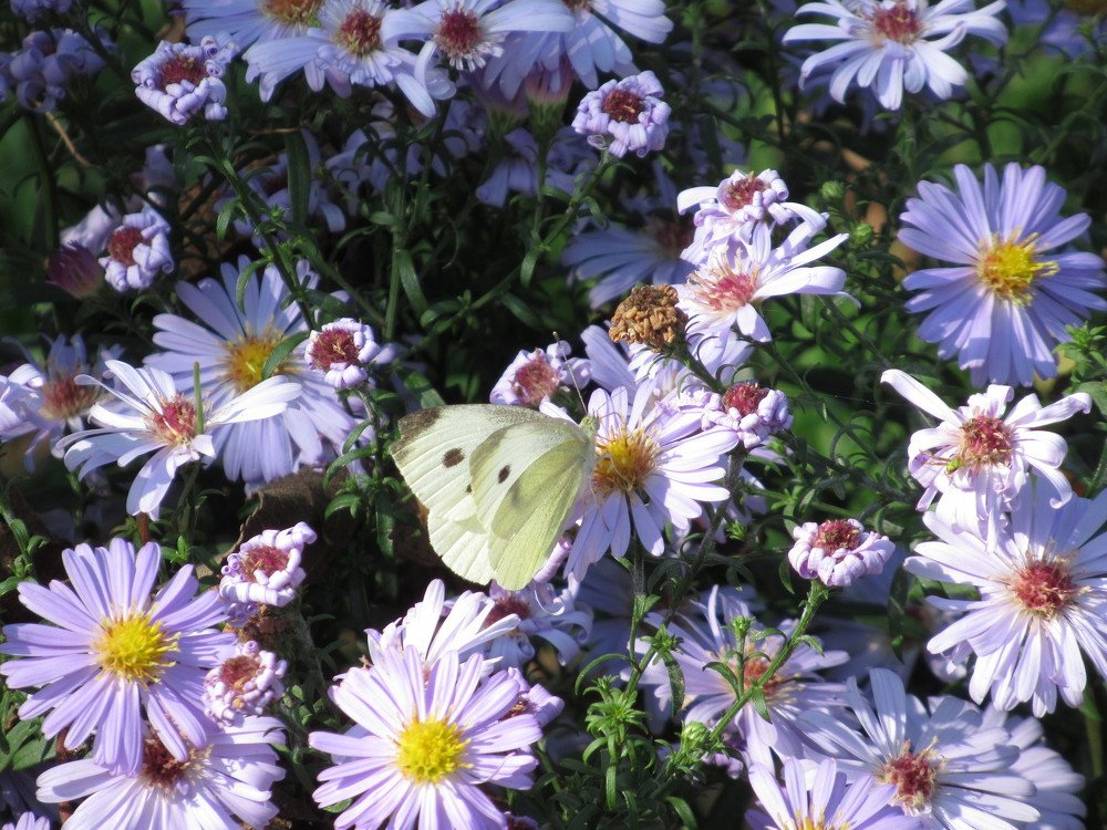 Photograph by Nermina Selmanovic