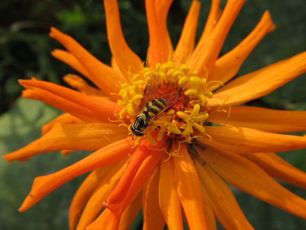 Photograph by Nermina Selmanovic