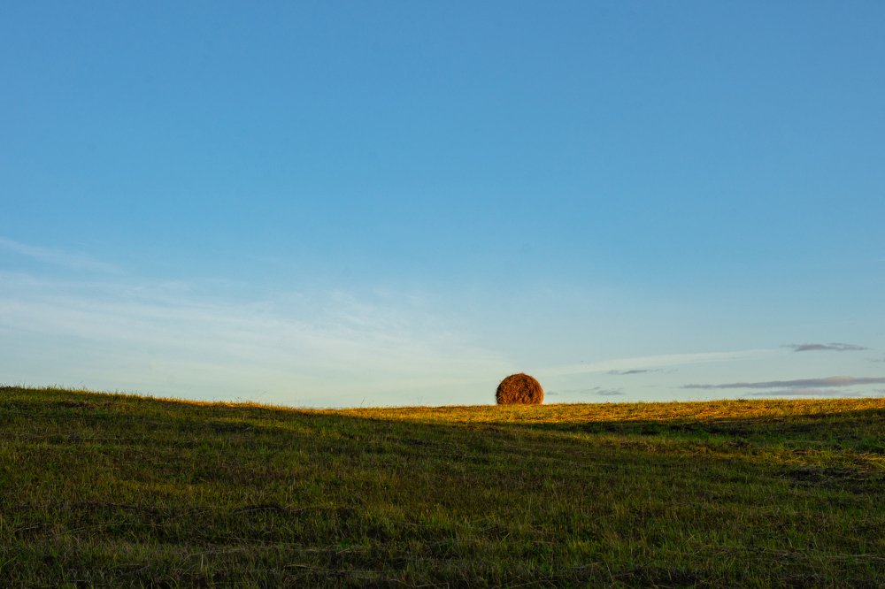 Разноцветная осень