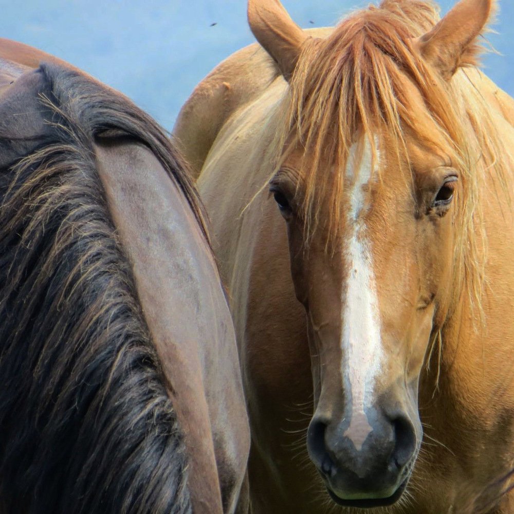 Photograph by Kristina Ter-Hovhannisyan