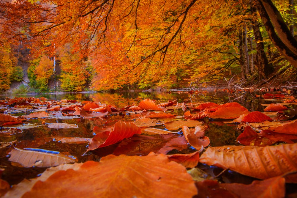 Photograph by Mahir Rustamov