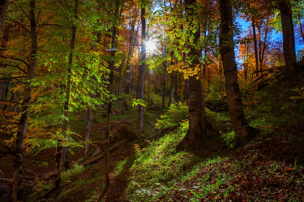 Photograph by Mahir Rustamov