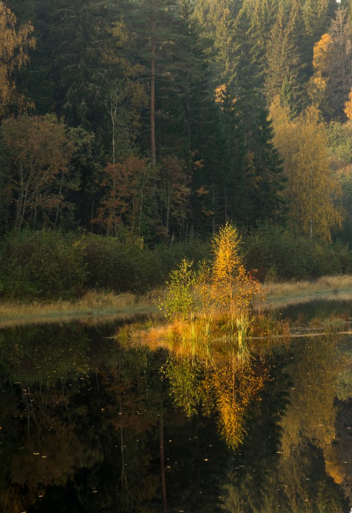 Photograph by Сергей Тишковский