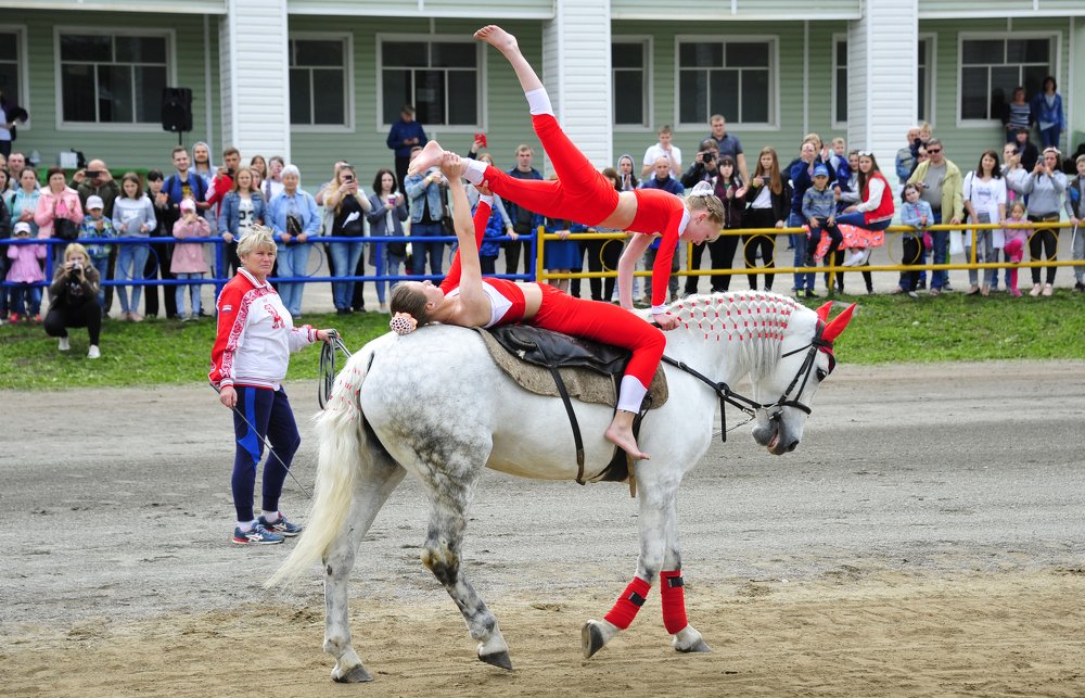 Фотография автора Старостин Дмитрий