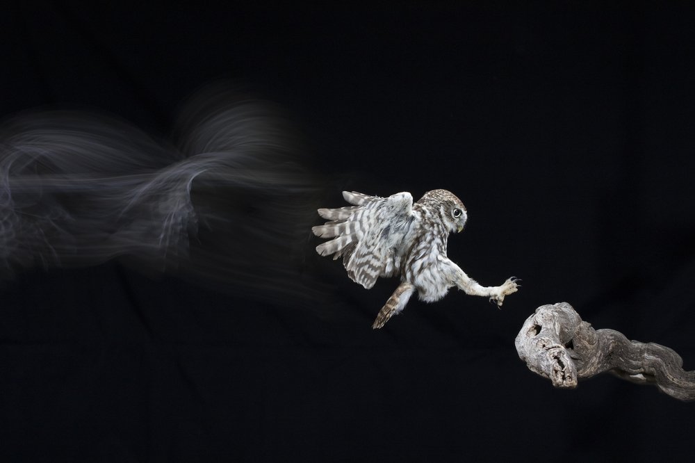 Photograph by Jesus Varas