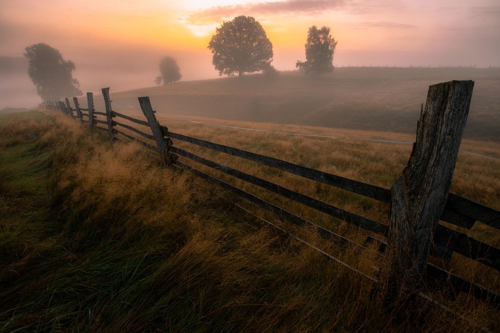 Photograph by Luboš Prchal
