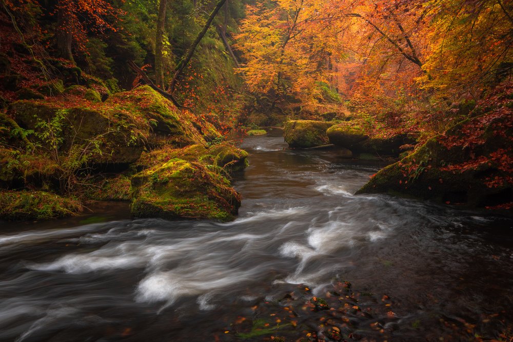 Photograph by Luboš Prchal