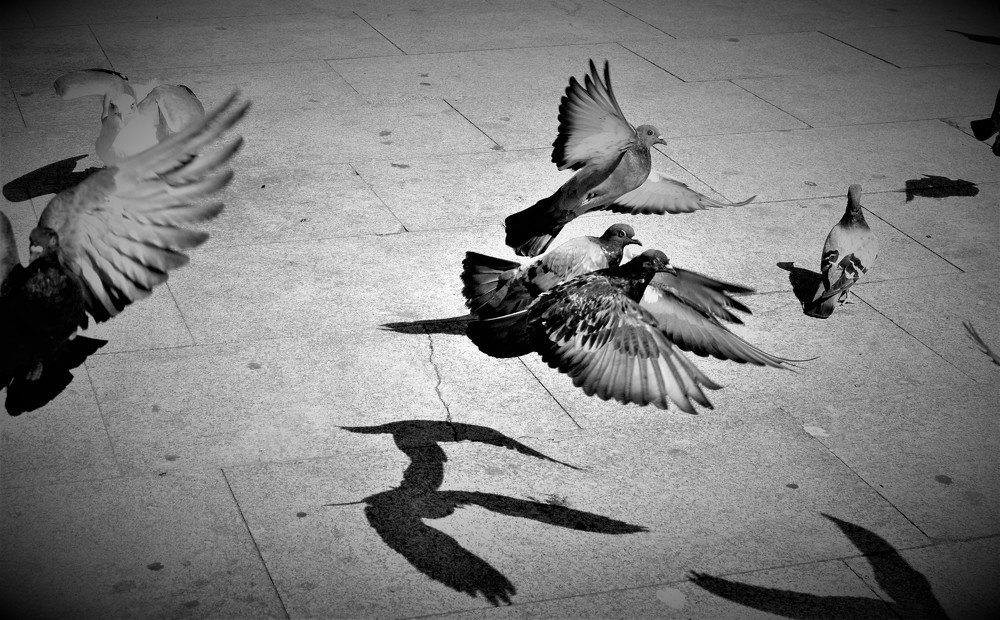 Photograph by Rita Moura