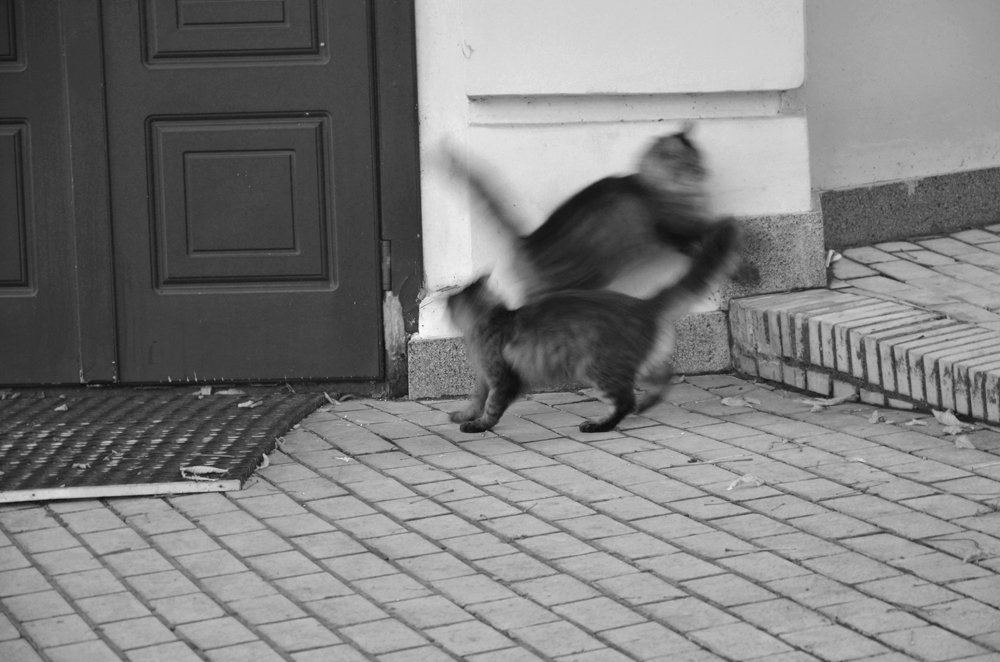 Photograph by Ирина Литичевская