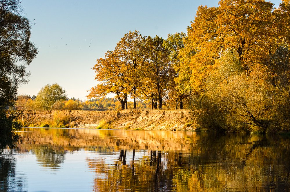 Photograph by Максим Ушаков