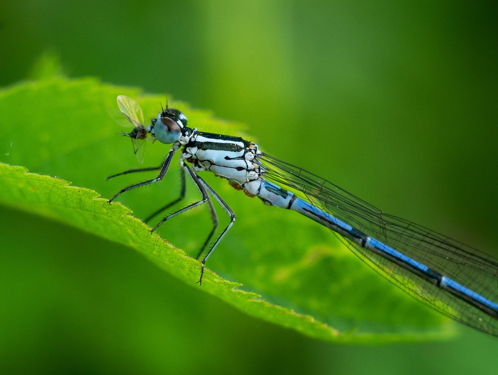 Photograph by Андрей Бурда