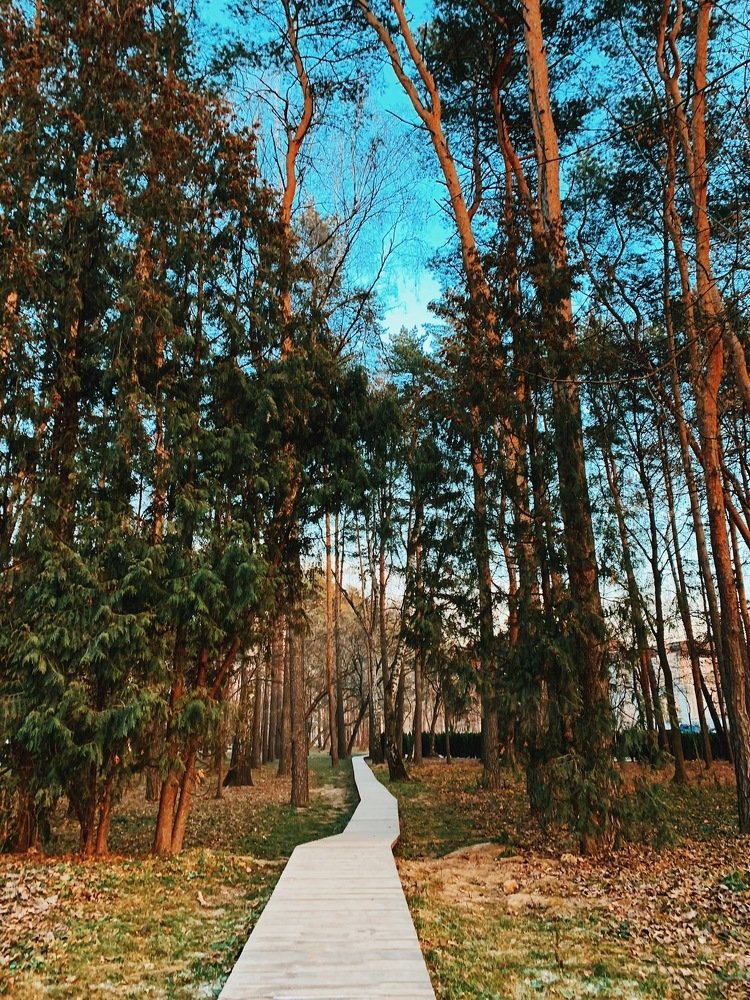 Photograph by Anastasiya Vishnevskaya