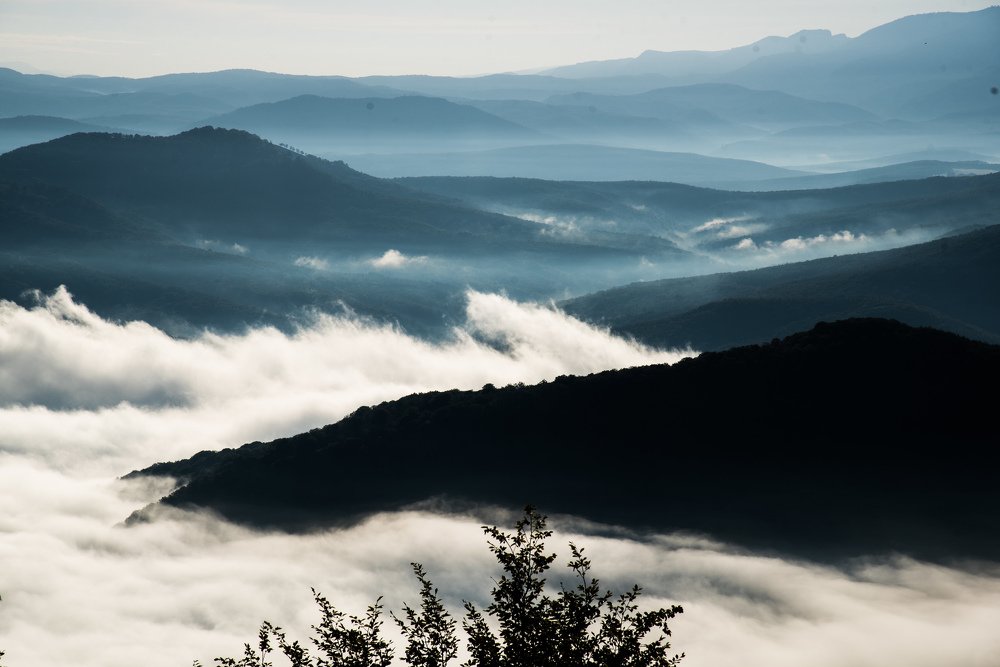 Photograph by Михаил Кравченко