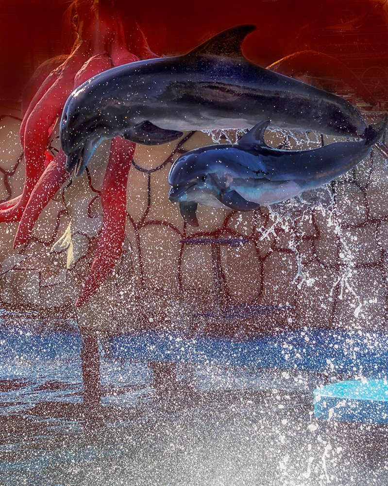 Photograph by Игорь Антипов