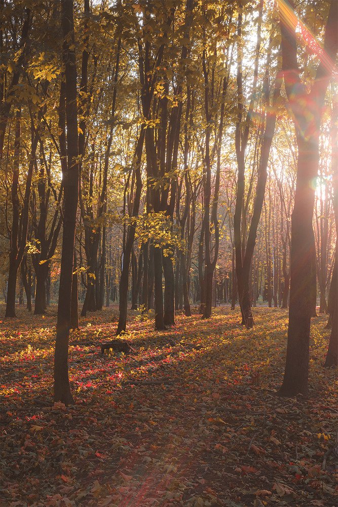 Photograph by Валерий Вторыгин