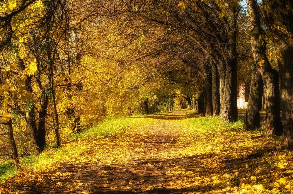 Photograph by Денис Махров