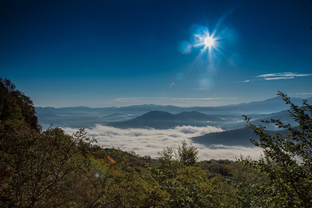 Photograph by Михаил Кравченко