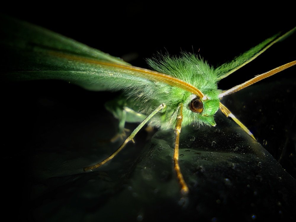 Photograph by Артем Авдеев