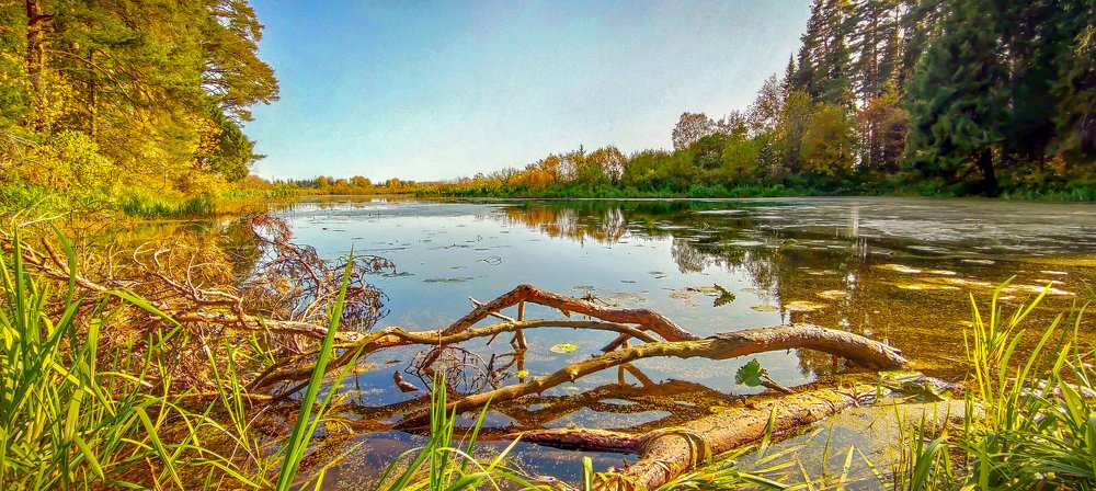 Photograph by Лев Солдатов