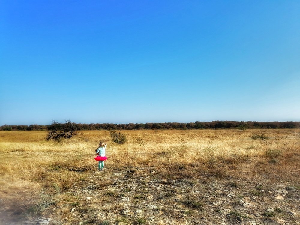 Photograph by Екатерина Пыжова