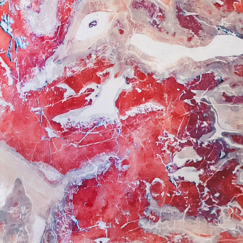 Photograph by Марина Суворова