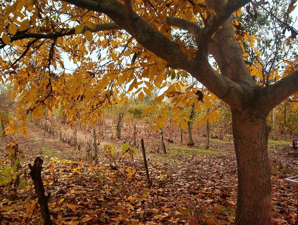 Photograph by eszter bodnár