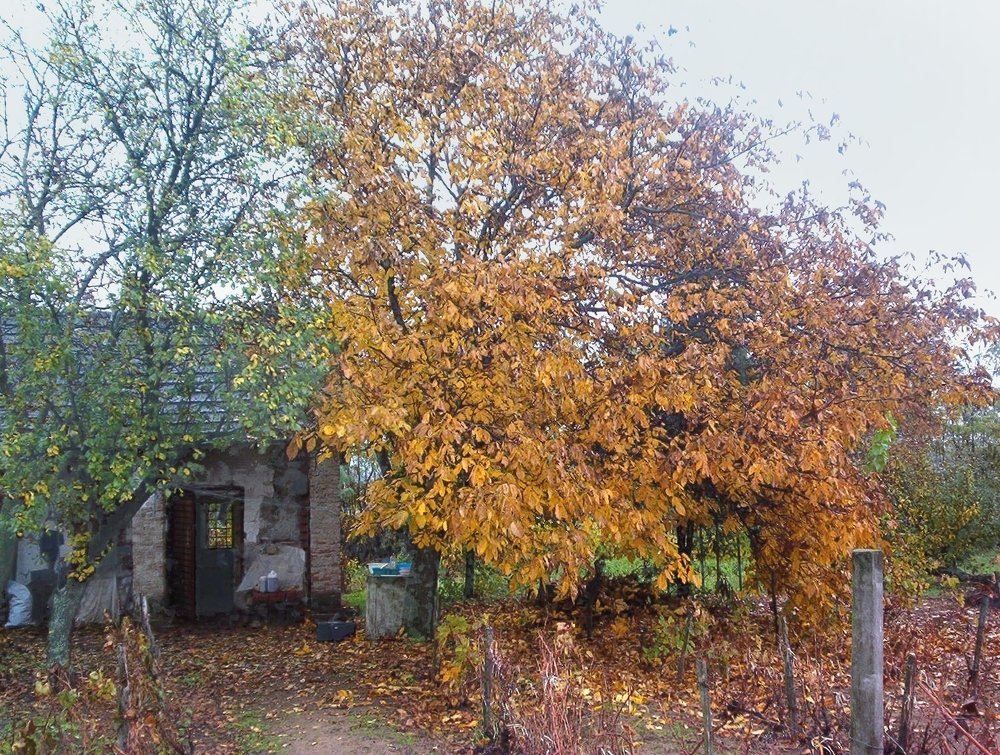 Photograph by eszter bodnár