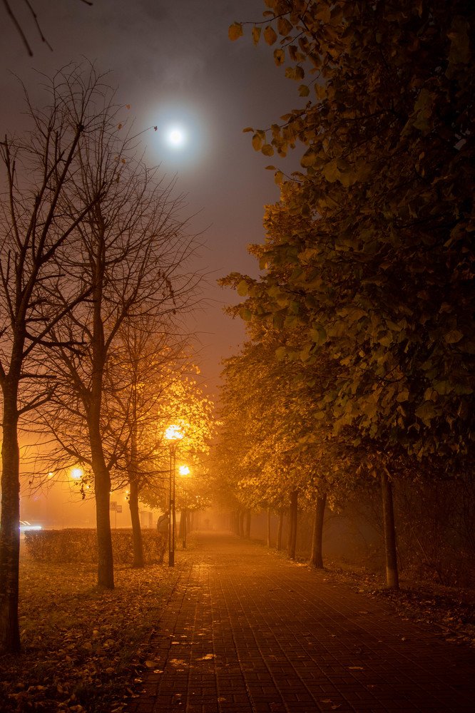 Photograph by Вадим Кондрат