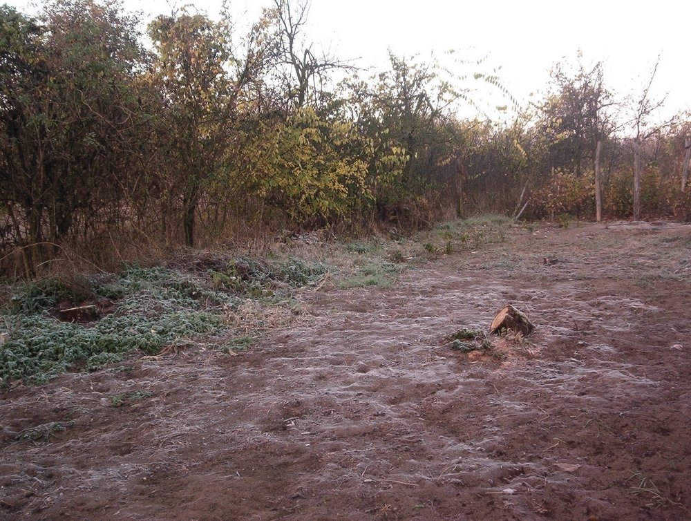 Photograph by eszter bodnár