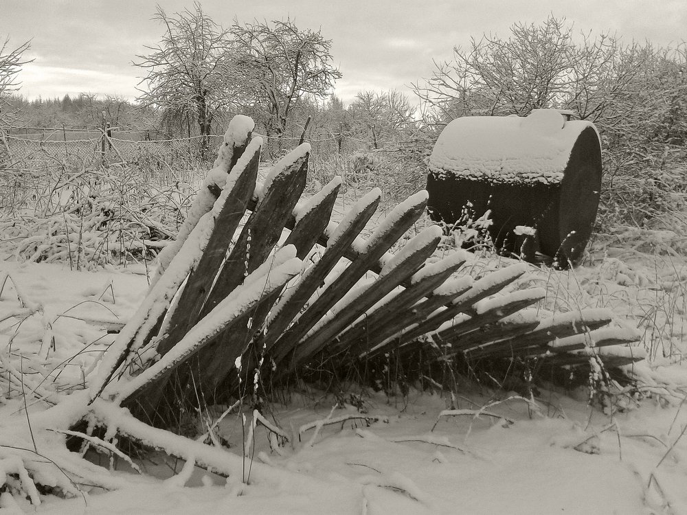 Photograph by Ирина Архипова