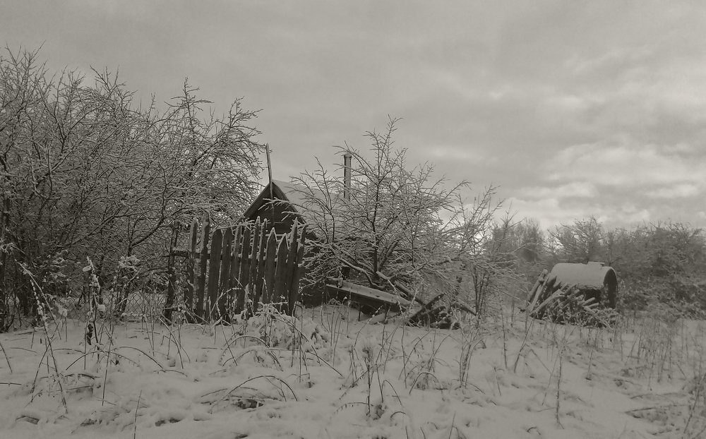 Photograph by Ирина Архипова