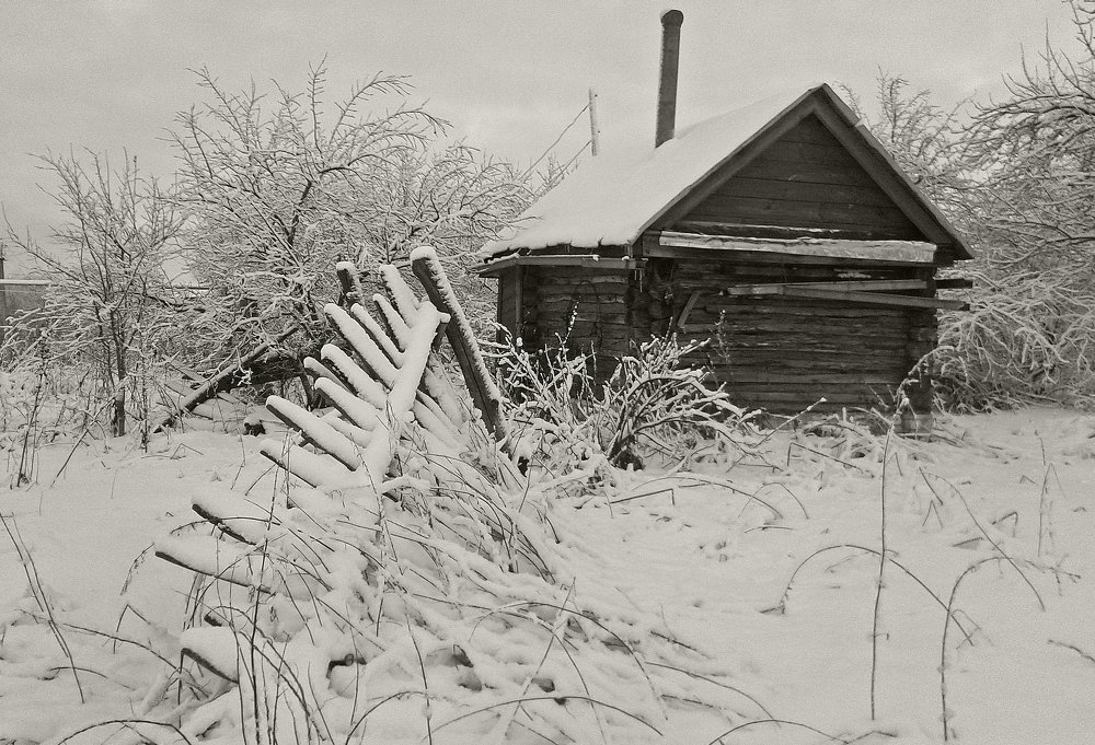 Photograph by Ирина Архипова