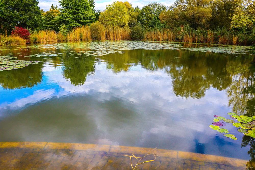 Photograph by Florentina-Adriana Vasilescu