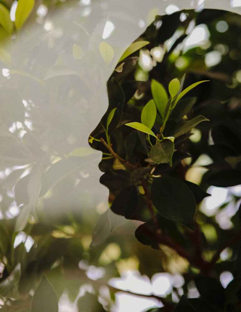 Photograph by Виктор Жулин