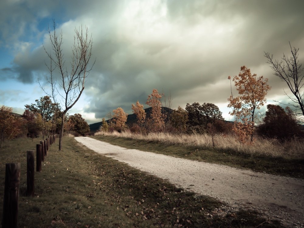 Paseando a través de un sueño