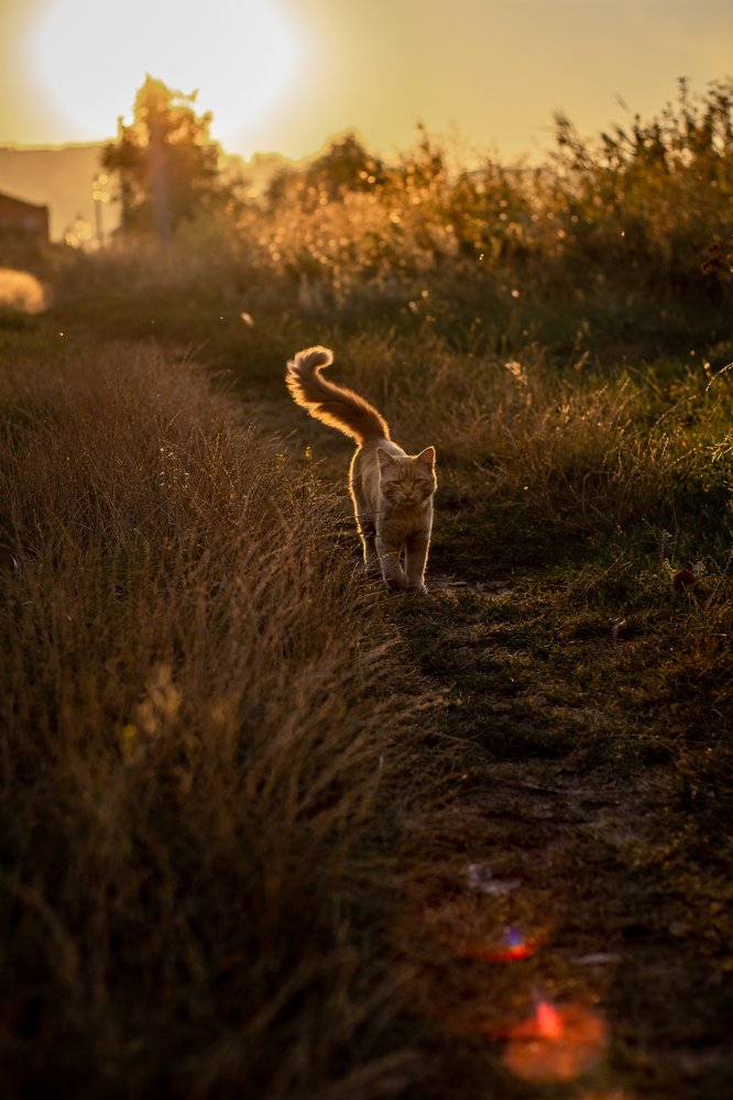 Фотография автора Ирина Рябчикова