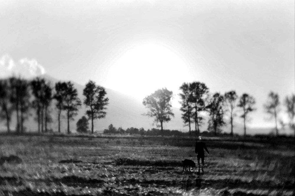 Вечерняя прогулка