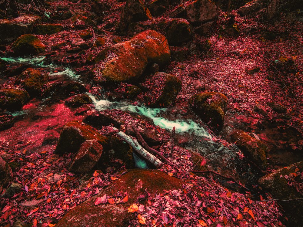 Photograph by ZHANG Hui
