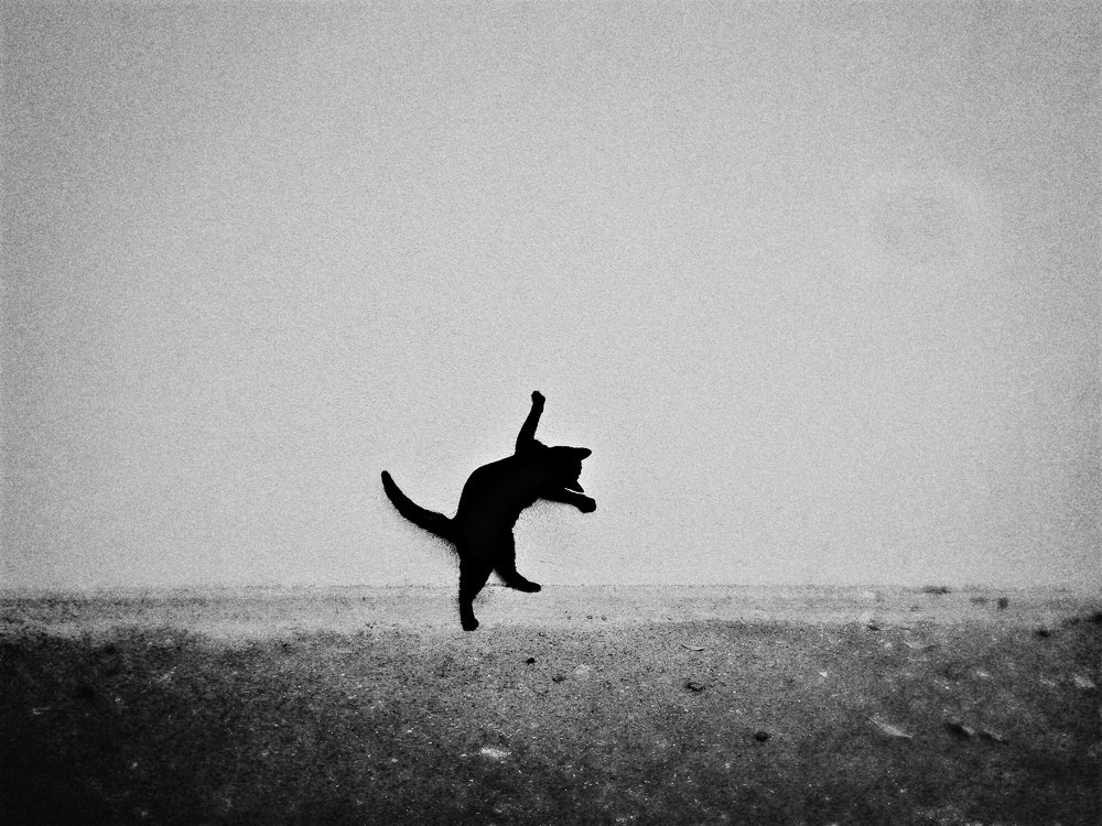 Photograph by Yalim Vural