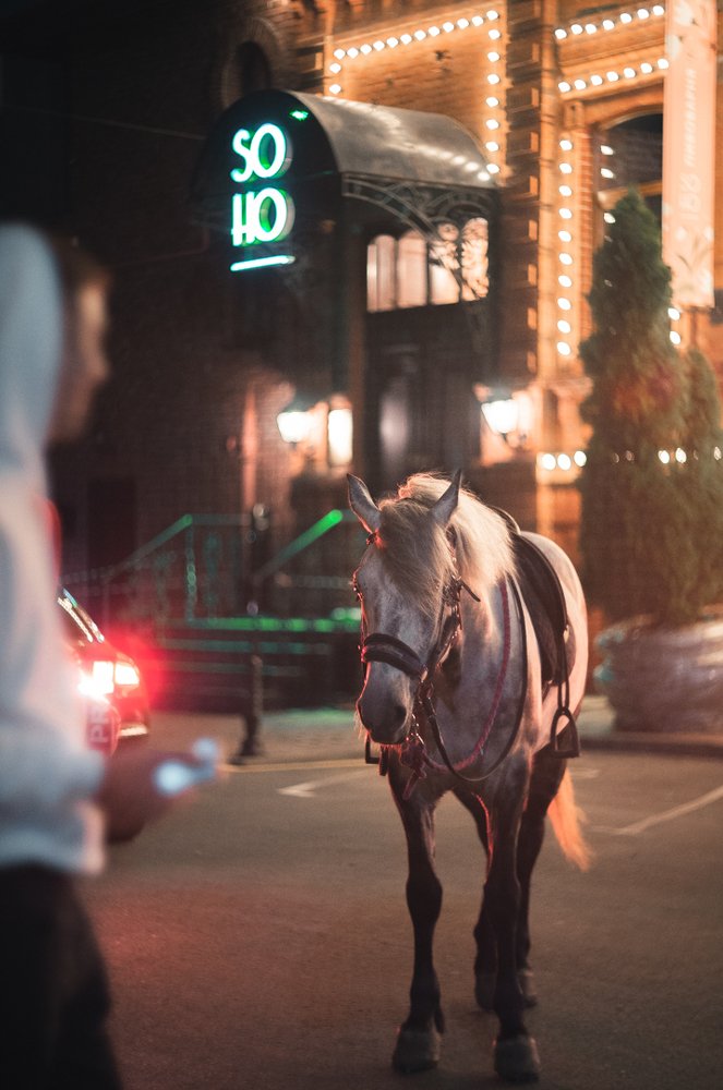 Photograph by Кир Киселёв