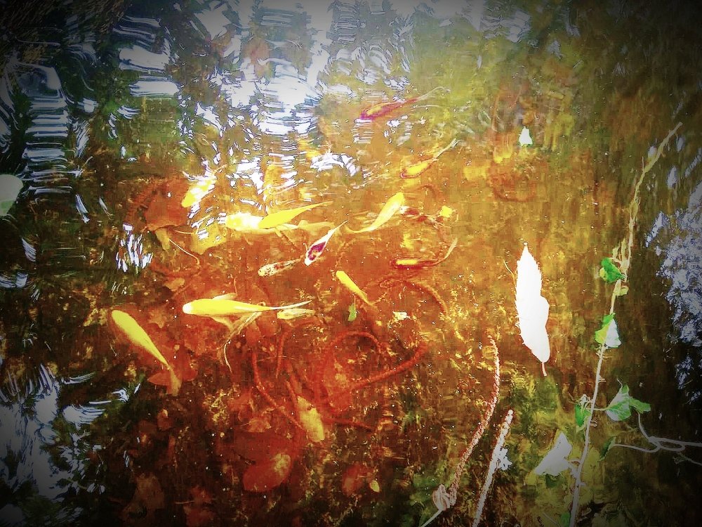 Photograph by Rita Moura