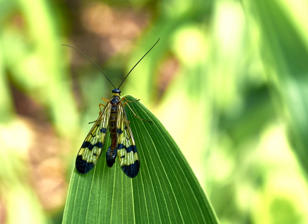 Photograph by Валерий Гончаров