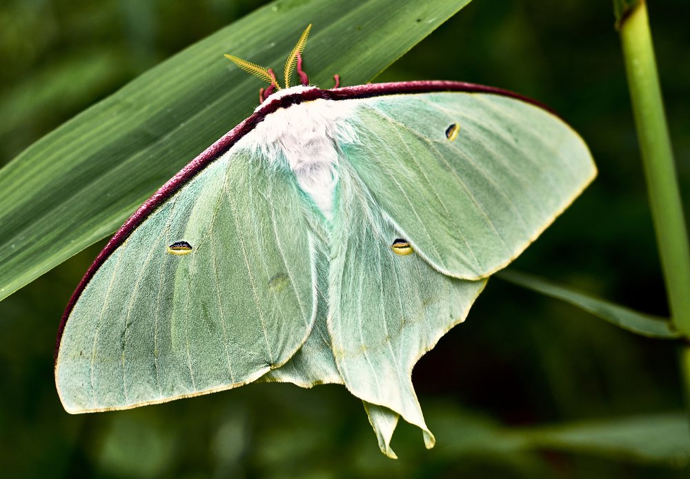 Photograph by Валерий Гончаров