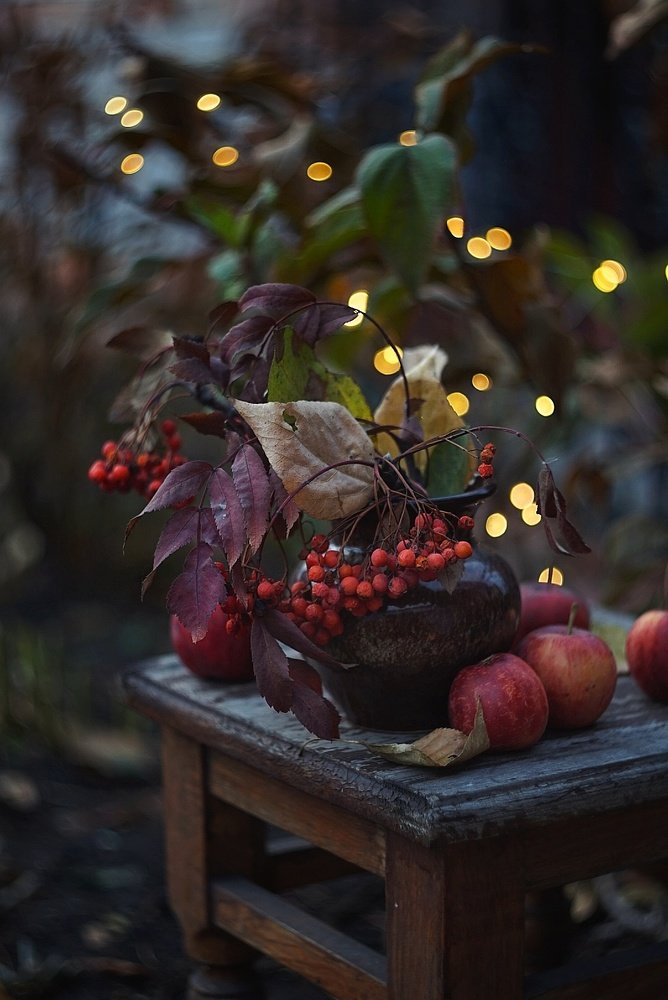 Photograph by Наталья Шленкина