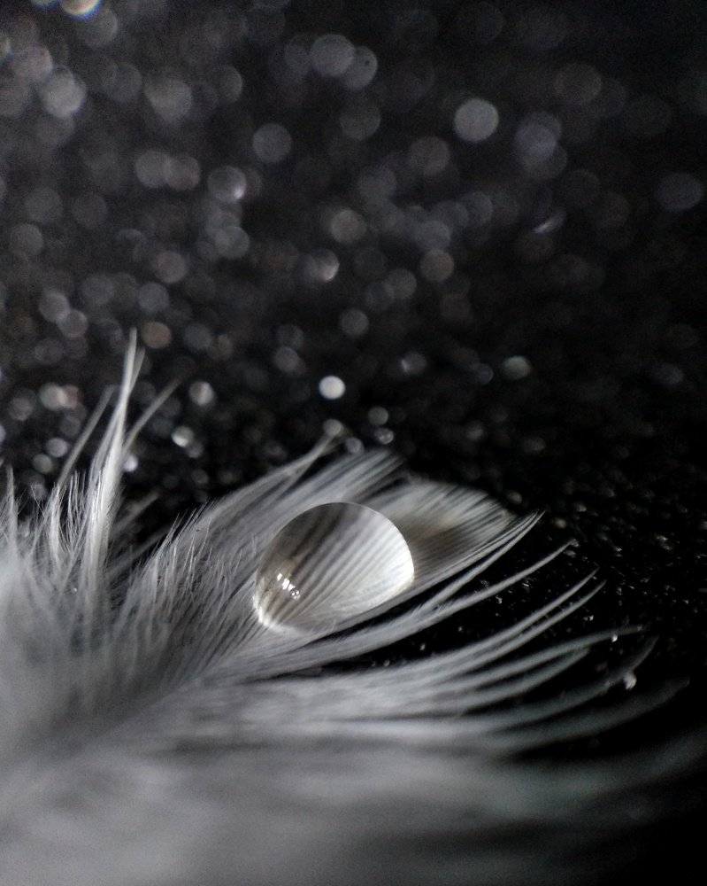 Photograph by Татьяна Чухина