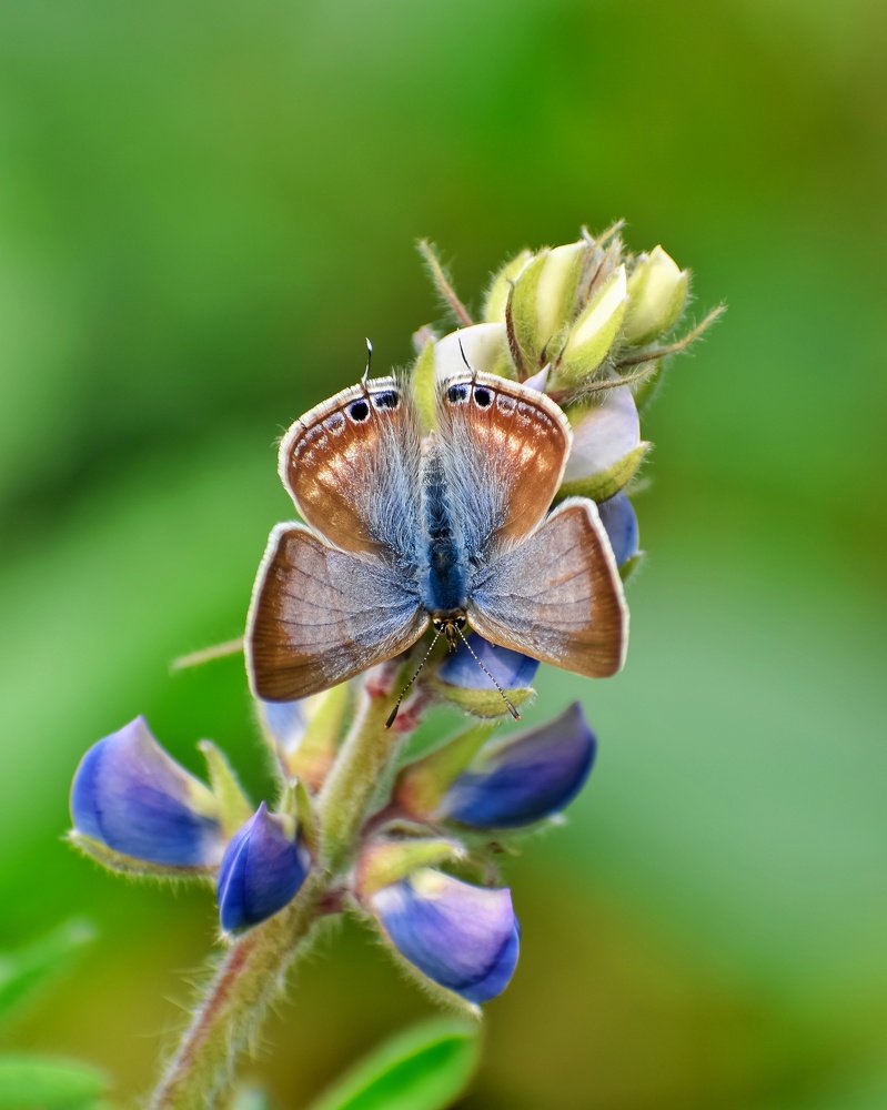 Photograph by DEEP SARKAR