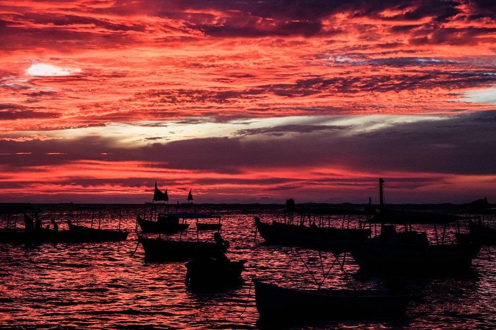 Photograph by Vicente Reis Santana Filho