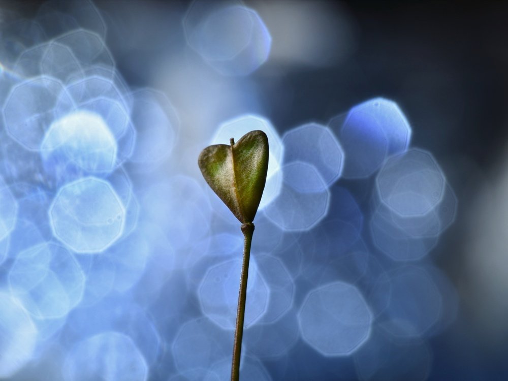 Фотография автора Iwona Moskalik